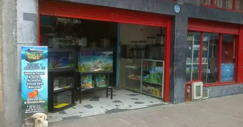 PECES Y ACUARIOS JE BOGOTÁ PECES Y ACUARIOS JE BOGOTÁ